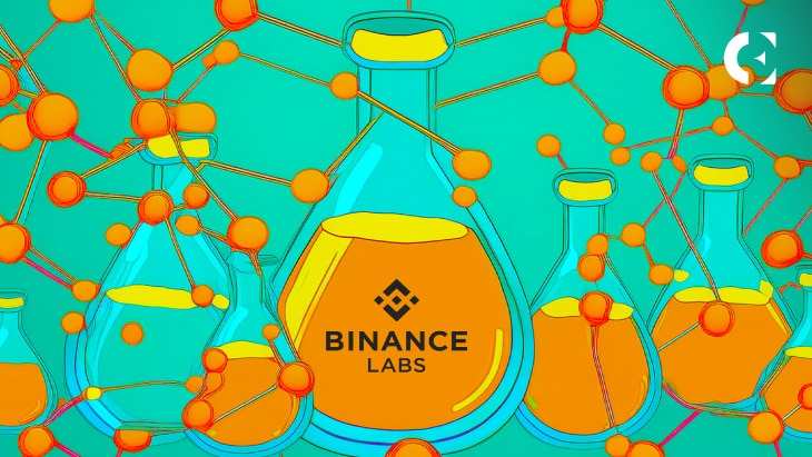 Unlock Binance Labs' Elite 7: The Future of Blockchain Unveiled