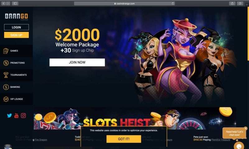 Win Real Cash Without Risk: 100 Free Spins Awaits You