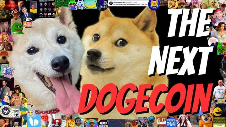 How a Dogecoin Millionaire Masterminded the Ultimate Meme Coin Alliance