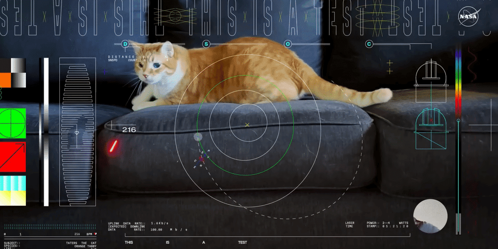 NASA Beams Cat Videos to Mars